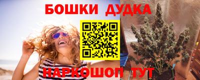 дживик Будённовск