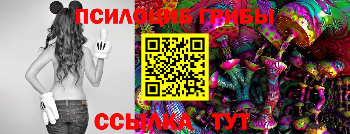 Псилоцибиновые грибы ЛСД  Вход с VPN  Псилоцибиновые грибы прущие грибы  Новокузнецк 